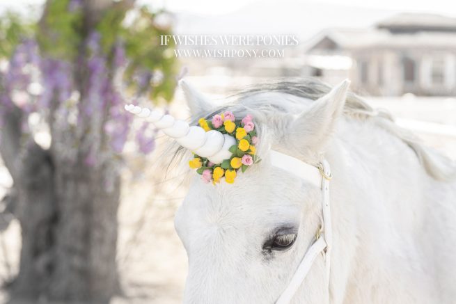 8" White Horn w/ Pink & Yellow Flowers Pony Size 14" Economy Unicorn Browband™ - READY TO SHIP - Image 2