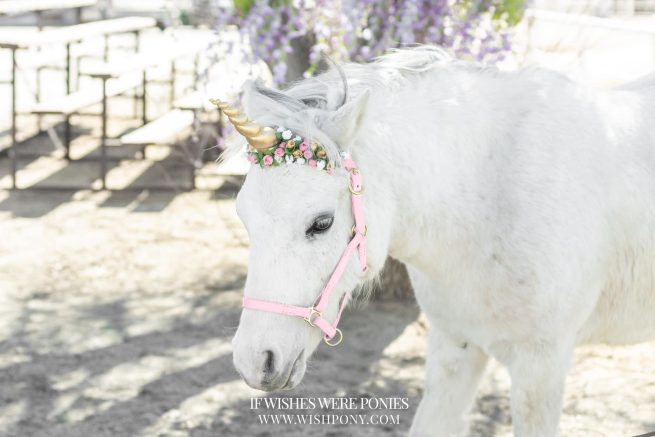 7.5" Gold Horn w/ Pink, Gold & White Flowers Pony Size 13" Economy Unicorn Browband™ - READY TO SHIP