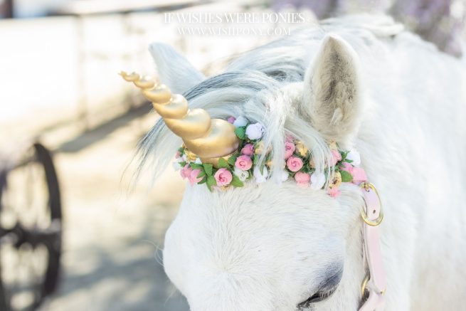 7.5" Gold Horn w/ Pink, Gold & White Flowers Pony Size 13" Economy Unicorn Browband™ - READY TO SHIP - Image 2
