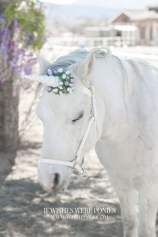 Listing for AMANDA 8" White Horn w/ White & Lavender Flowers Horse Size 16" Black Economy Unicorn Browband™