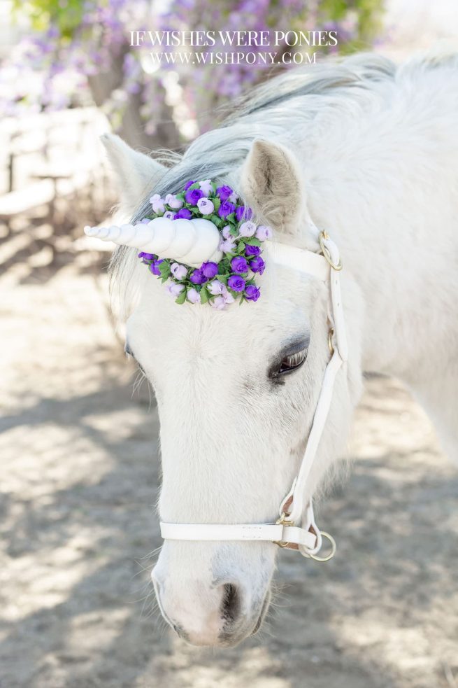 8" White Horn w/ Purple & Lavender Flowers Pony Size 14" Economy Unicorn Browband™ - READY TO SHIP - Image 2