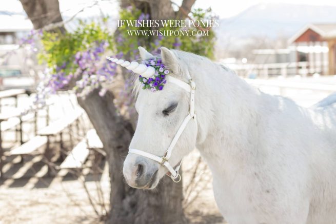 8" White Horn w/ Purple & Lavender Flowers Pony Size 14" Economy Unicorn Browband™ - READY TO SHIP