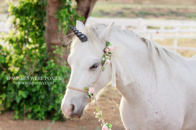8" Black Ultra Lightweight Sculpted Economy Unicorn Horn for Miniature Horse or Pony - Image 2
