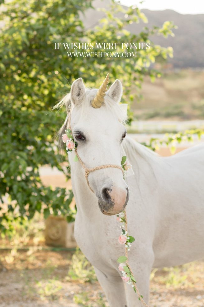 7.5" Metallic Gold Ultra Lightweight Sculpted Economy Unicorn Horn for Miniature Horse or Pony or Cob