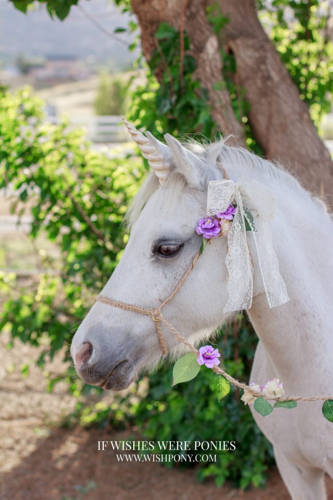 6.5" Pale Gold Ultra Lightweight Sculpted Economy Unicorn Horn for Miniature Horse or Pony