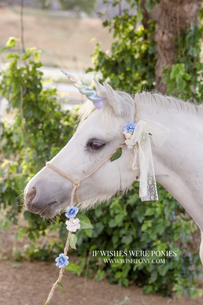 5" Rainbow Ultra Lightweight Sculpted Economy Unicorn Horn for Mini or Small Pony