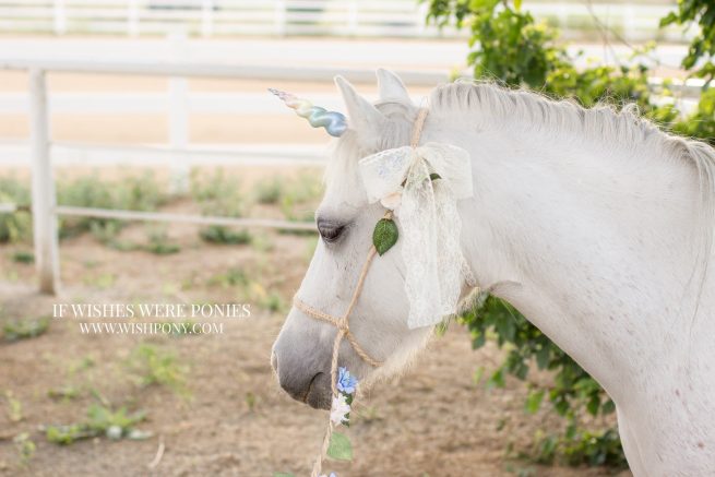 5" Rainbow Ultra Lightweight Sculpted Economy Unicorn Horn for Mini or Small Pony - Image 2