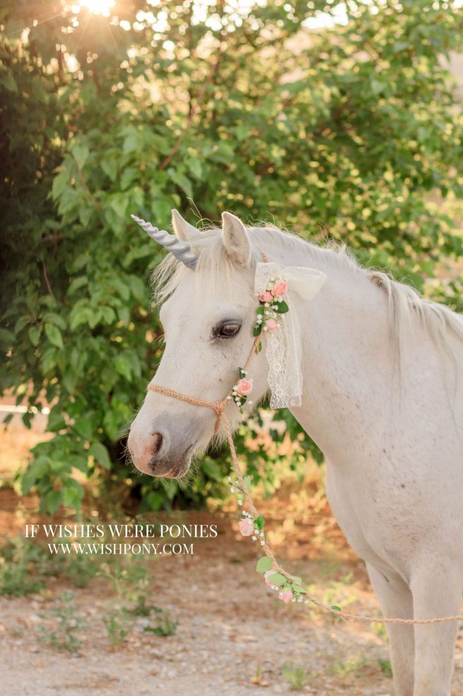 5" Silver Ultra Lightweight Sculpted Economy Unicorn Horn for Miniature Horse or Pony