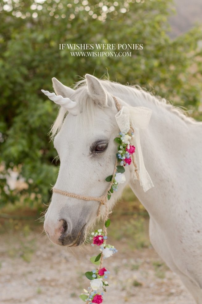 6.25" White Ultra Lightweight Sculpted Economy Unicorn Horn for Miniature Horse or Pony