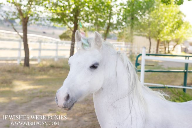 4.75" Rainbow Soft Glow Rubbery Tipped Plastic Unicorn Horn for Mini or Small Pony