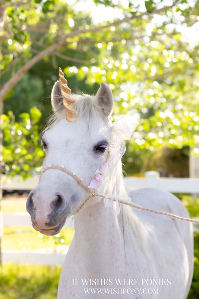 9" Gold Rubbery Tipped Plastic Unicorn Horn for Horse or Large Pony