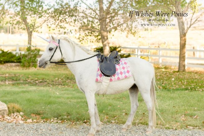 Pink Unicorn Browband & Argyle Saddle Blanket Set  - Pony Size  13"-14" Browband 9" Horn - Ready-to-Ship - Image 4