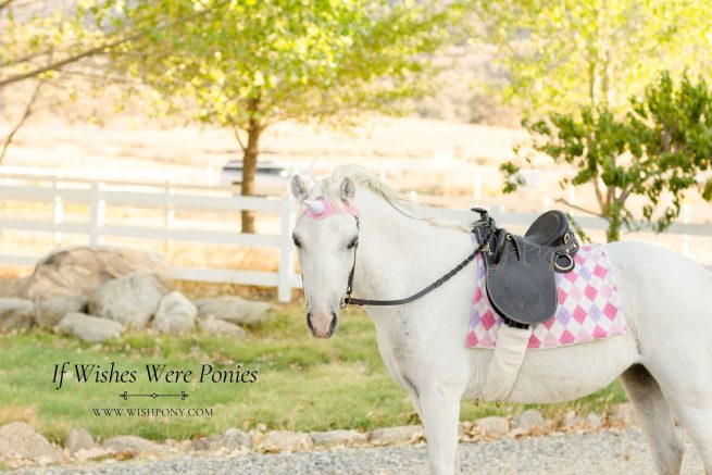 Pink Unicorn Browband & Argyle Saddle Blanket Set  - Pony Size  13"-14" Browband 9" Horn - Ready-to-Ship - Image 5