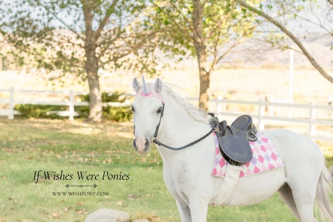 Pink Unicorn Browband & Argyle Saddle Blanket Set  - Pony Size  13"-14" Browband 9" Horn - Ready-to-Ship