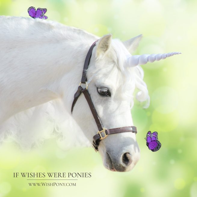 Butterfly Dreams™ Photographer's Set - 11" White Unicorn Horn + 2 Purple Monarch Butterflies - Miniature Horse, Pony or Horse Size