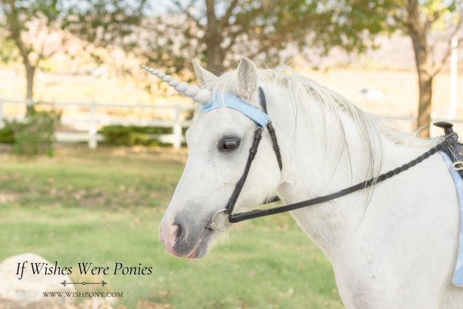 Baby Blue Unicorn Browband 12" White Horn - 15"-17" Horse Size - Ready-to-Ship