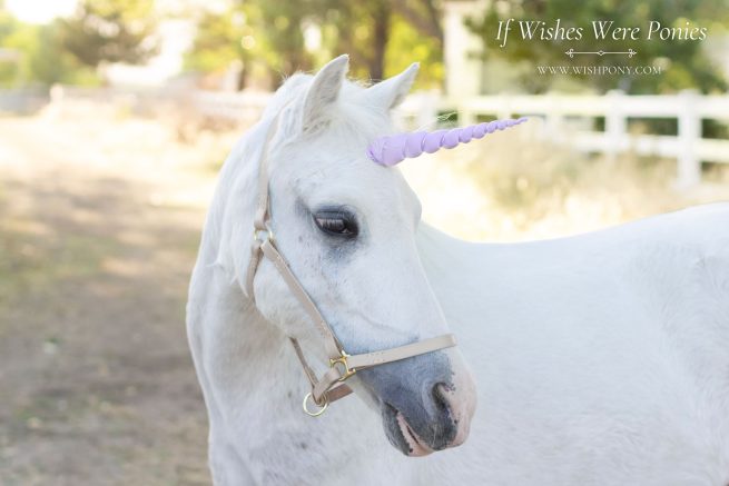 5.5" Lavender Contoured Natural-Look Unicorn Horn - Miniature Horse or Small Pony Size - Ready to Ship (Detachable/Replaceable Loops)