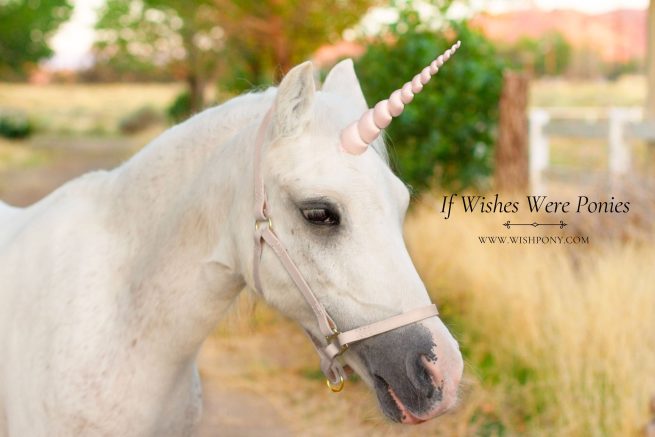 9" Pale Pink Contoured Natural-Look Unicorn Horn - Miniature Horse or Small Pony Size - Ready to Ship (Detachable/Replaceable Loops)