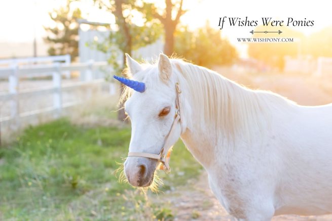 7" Royal Blue Contoured Natural-Look Unicorn Horn - Miniature Horse or Small Pony Size - Ready to Ship (Detachable/Replaceable Loops)