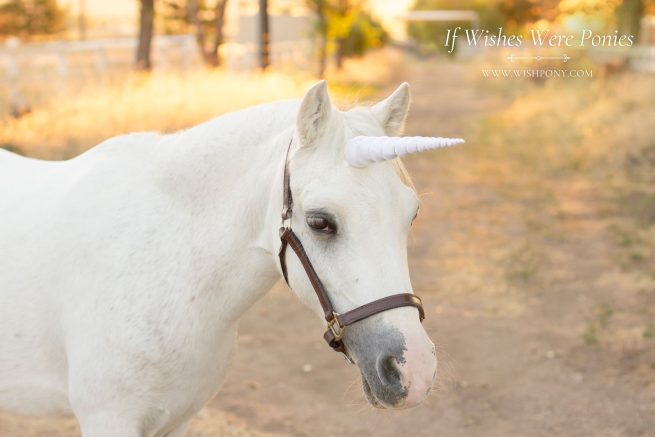12" White with Gold Spiral Contoured Natural-Look Unicorn Horn - Horse or Pony Size - Ready to Ship (Detachable/Replaceable Loops)