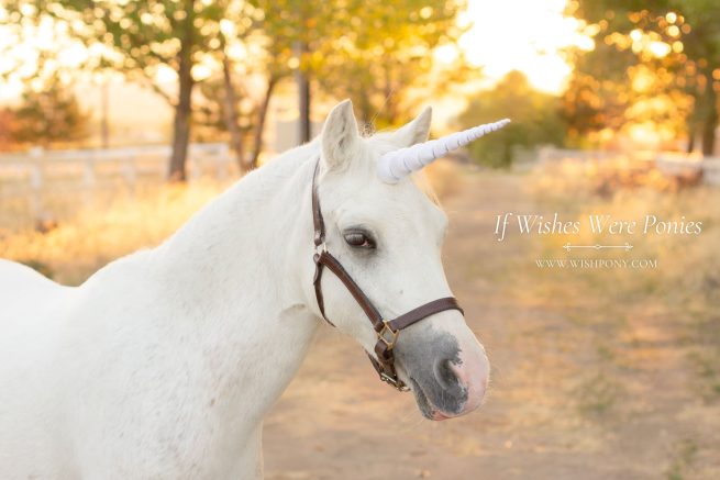 12" White with Silver Spiral Contoured Natural-Look Unicorn Horn - Horse or Pony Size - Ready to Ship (Detachable/Replaceable Loops)