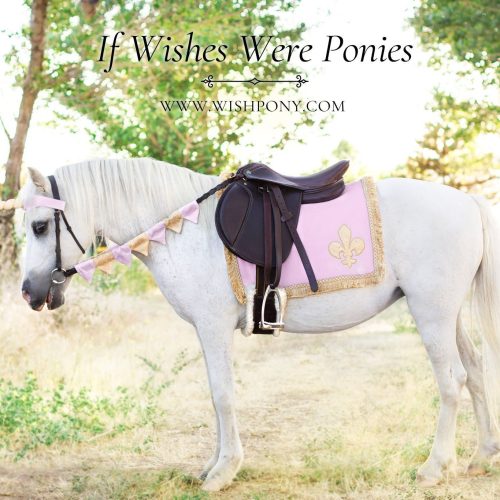 Little Princess Unicorn Browband, Rein Covers & Saddle Blanket Set for Horse