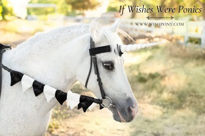 Black Unicorn Browband 12" White Horn - 15"-17" Horse Size- Ready-to-Ship
