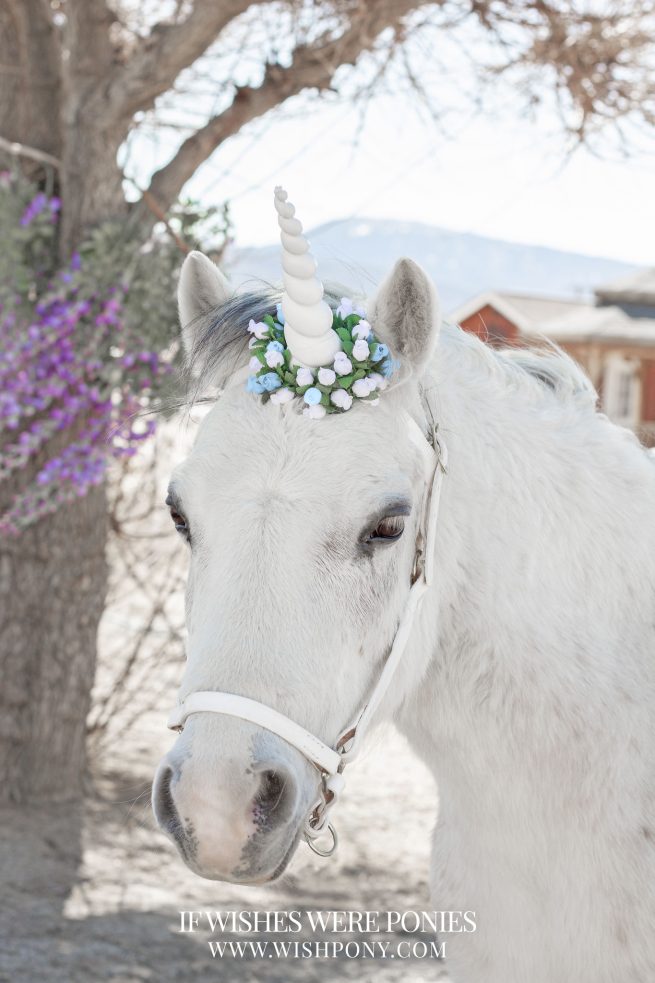 8" White Horn w/ White & Baby Blue Flowers Pony Size 15" Economy Unicorn Browband™ - READY TO SHIP